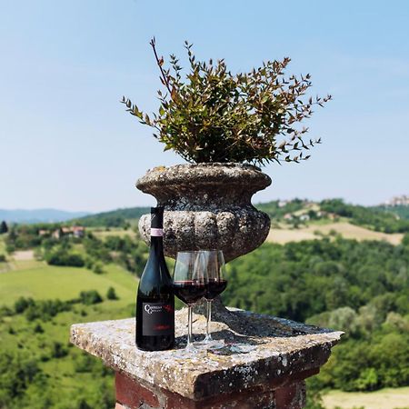 Castello Di Grillano Guest House Ovada Buitenkant foto