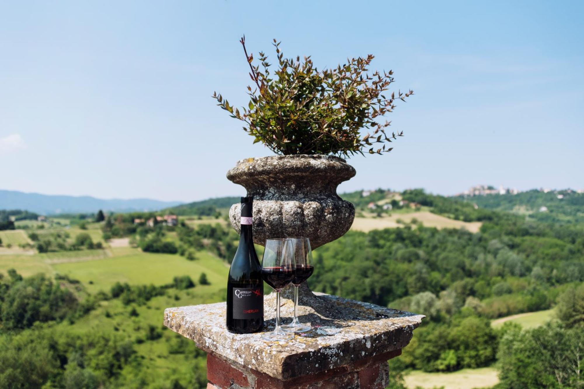 Castello Di Grillano Guest House Ovada Buitenkant foto